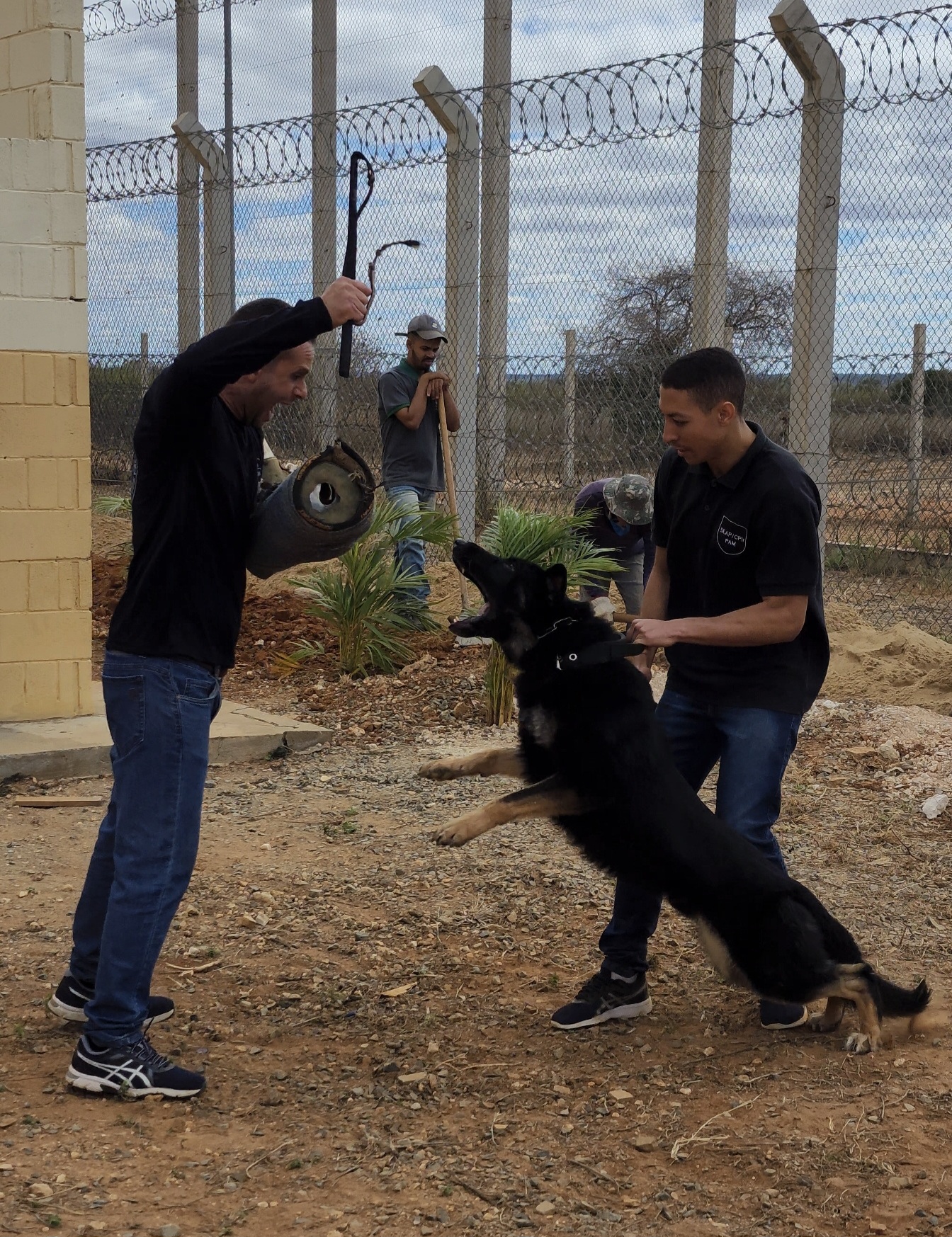 NOGUEIRA BLOOD MAJOR