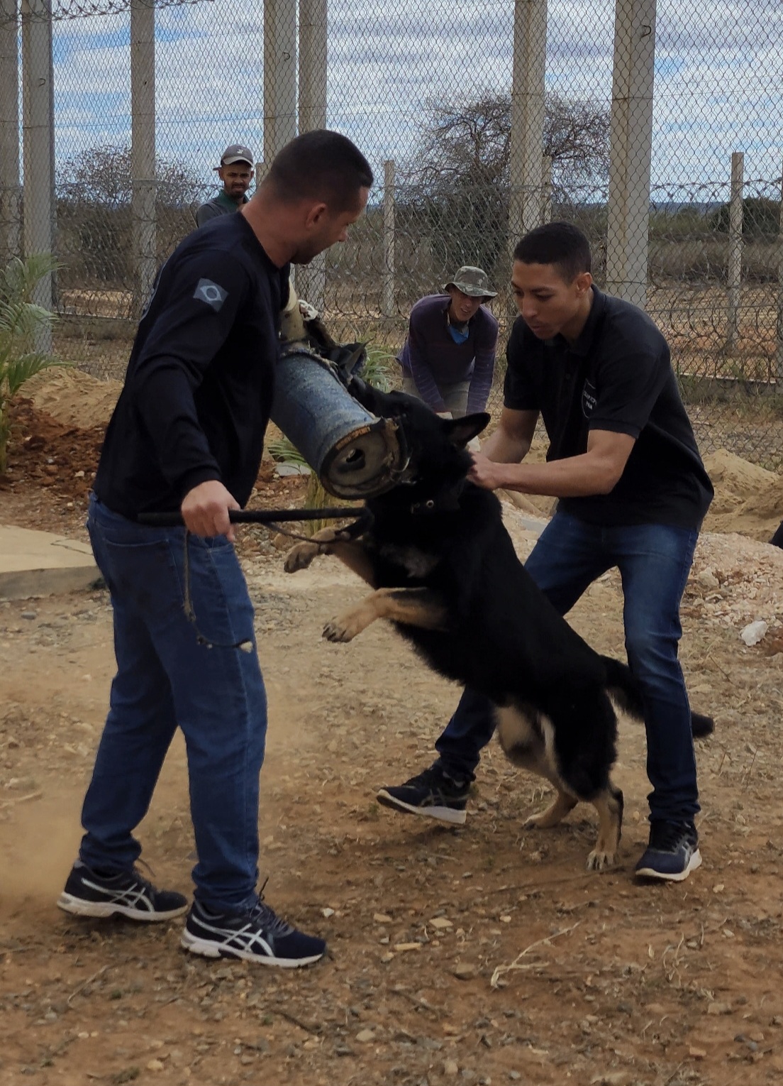 NOGUEIRA BLOOD MAJOR