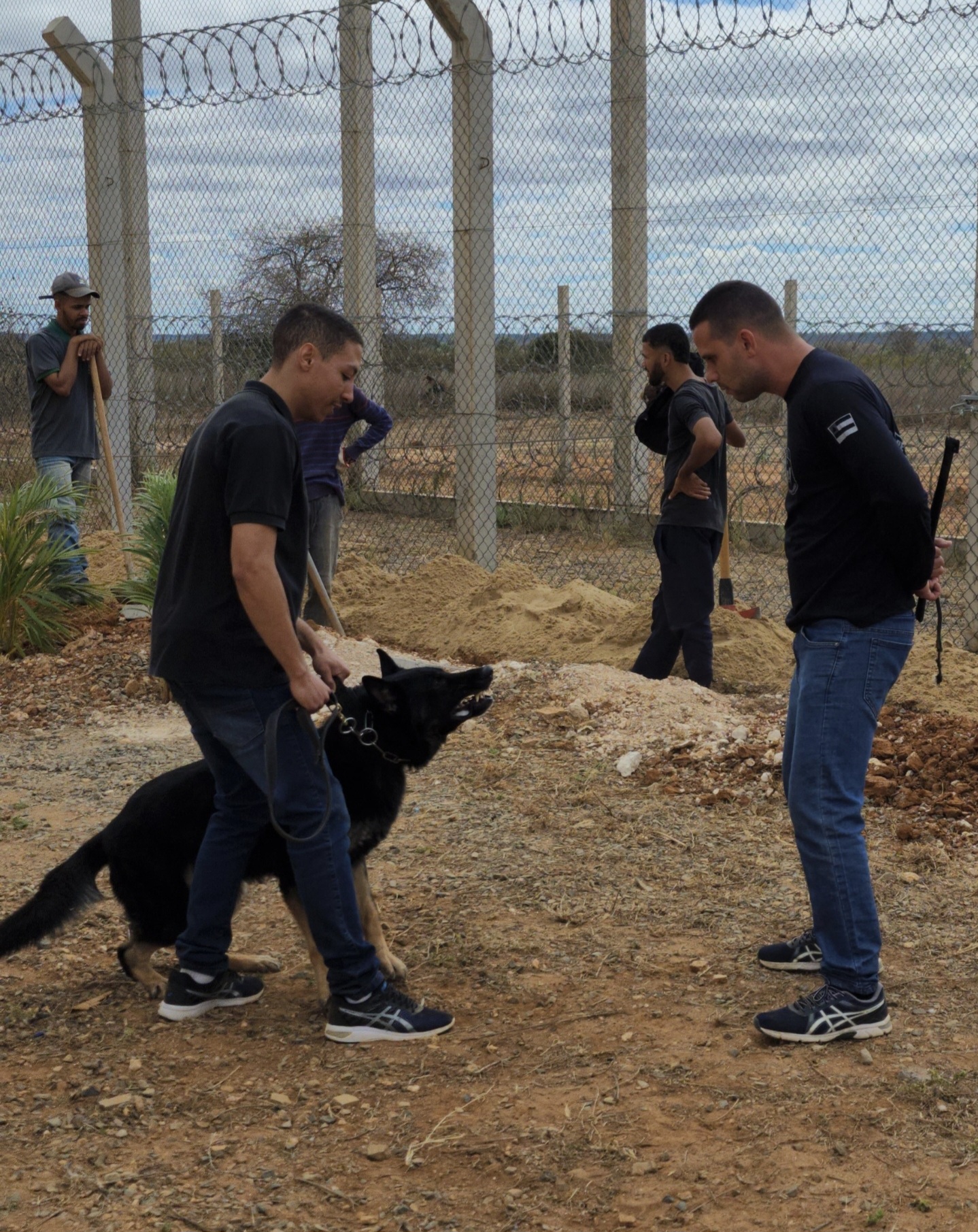 NOGUEIRA BLOOD MAJOR